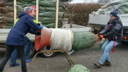 Christbaumverkauf