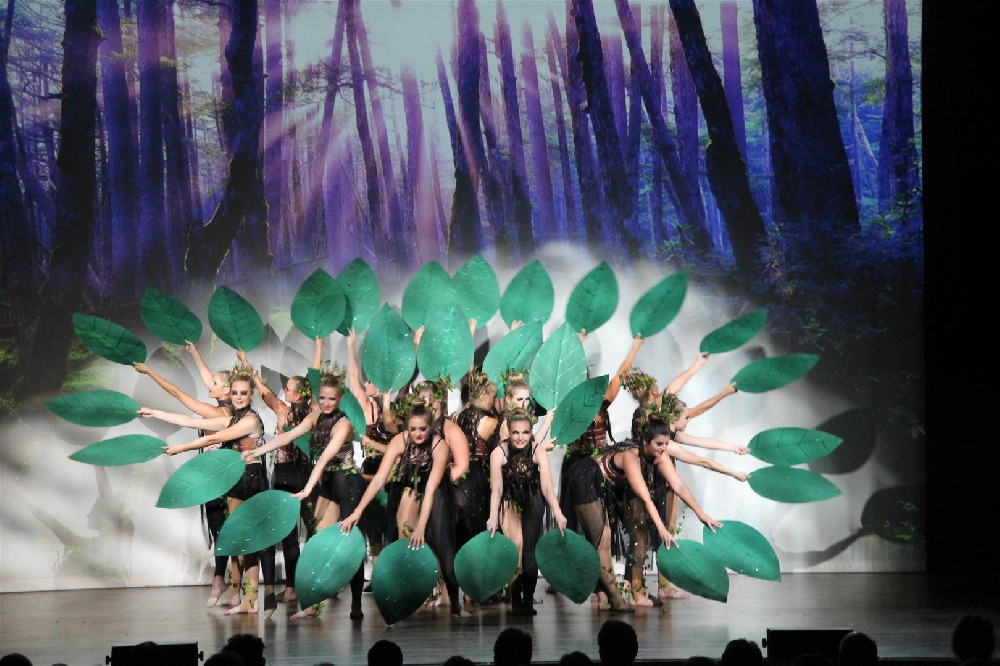 Showtanzteam